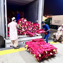 WhatsApp Image 2025-10-10 at 10:45:11 PM