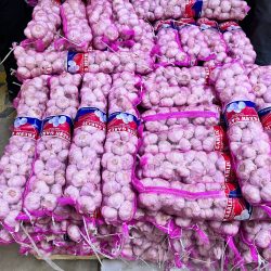 WhatsApp Image 2025-10-10 at 10:45:12 PM