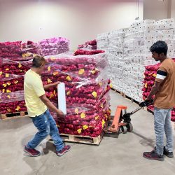 WhatsApp Image 2025-10-10 at 10:45:13 PM (1)